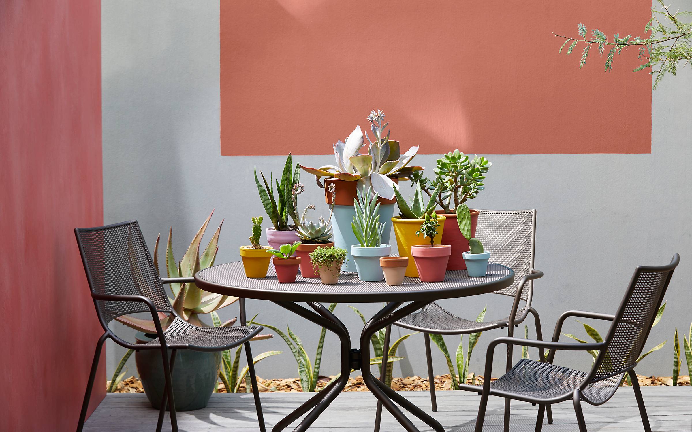 colour blocking behind a garden dining area