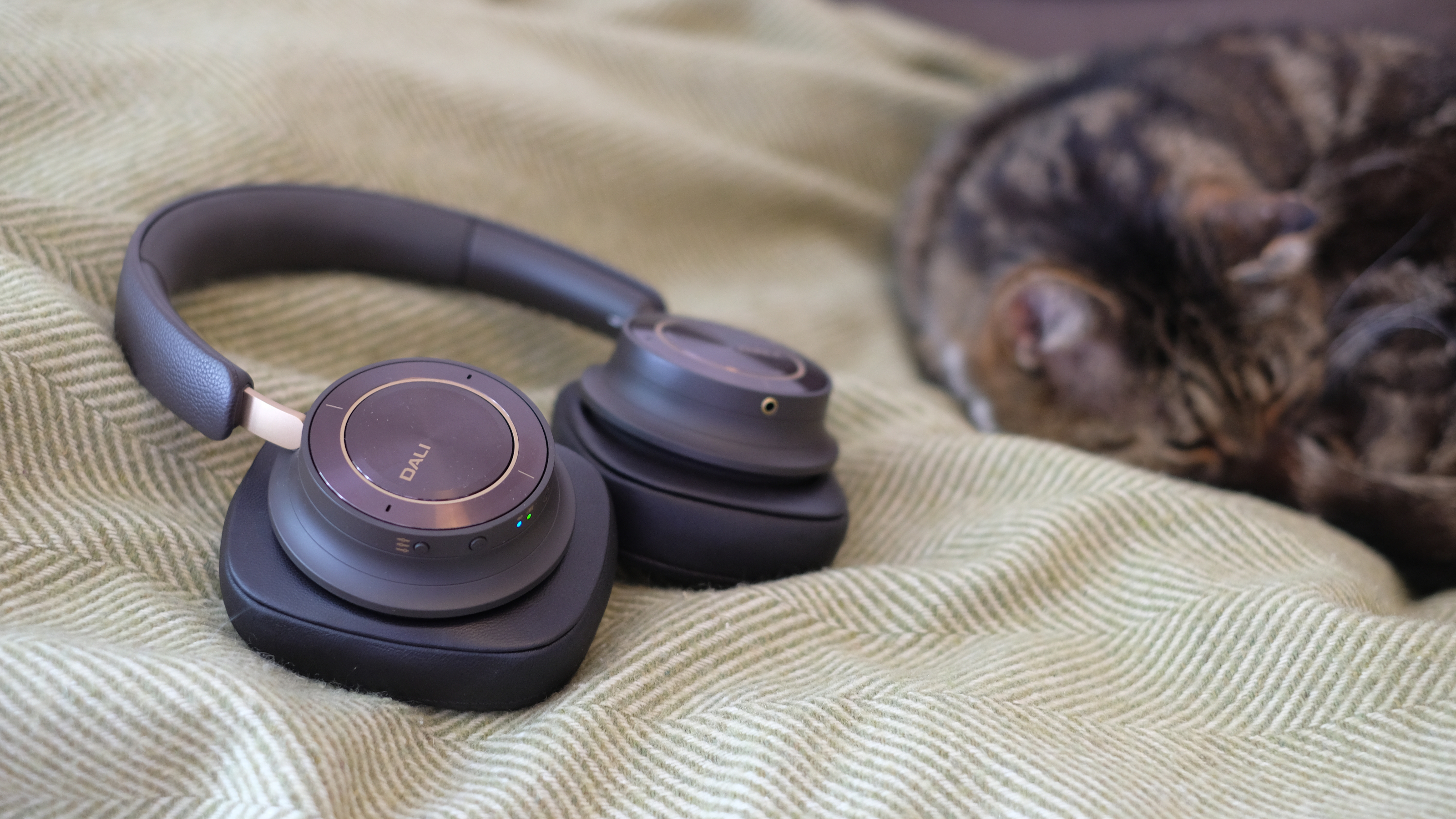 Photograph of DALI iO-12 headphones