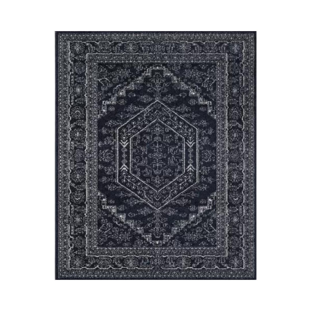 Navy and white Wayfair Olius Rug