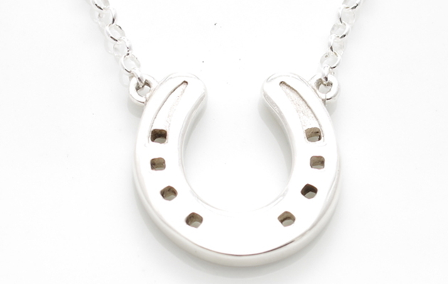 HHhorseshoelargenecklace.jpg