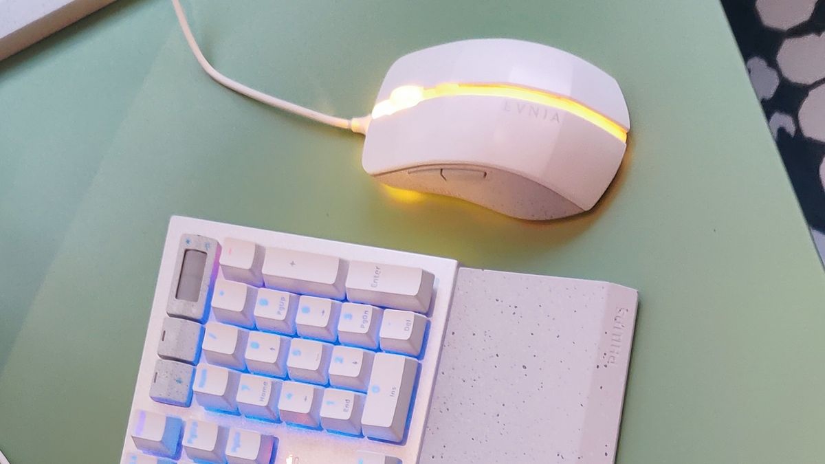 High end Evnia gaming mouse close up
