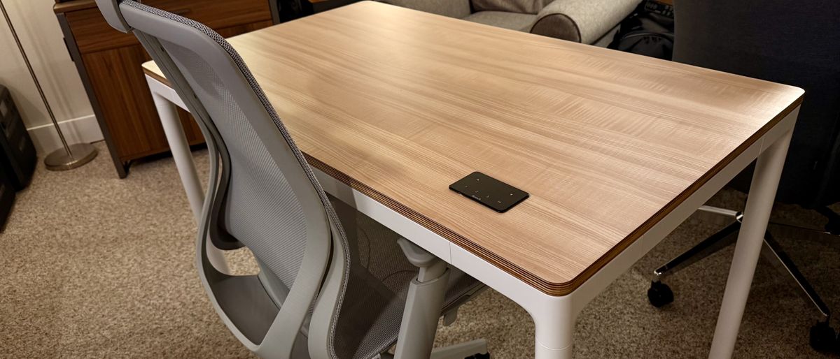 I tested the Branch Four Leg Standing Desk for 173 days and it has one of the best controllers I've ever used