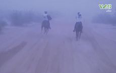 endurance.jpg