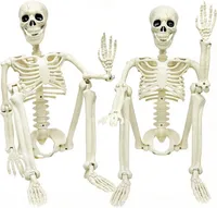 CAMIRUS Posable Plastic Skeleton Halloween Decor CAMIRUS Posable Plastic Skeleton Halloween Decor