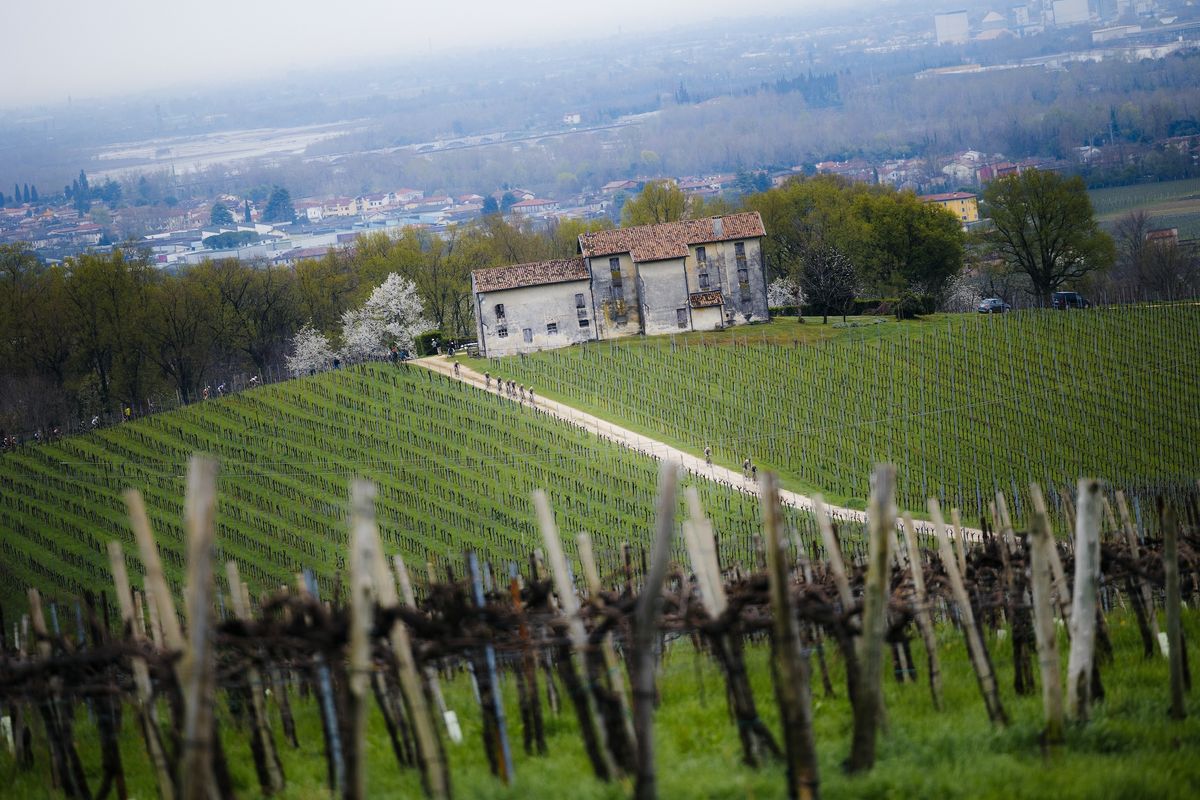 Proscecco hills added up 2,200 metres of climbing, with treacherous descents in the mud