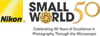 Nikon Small World Logo