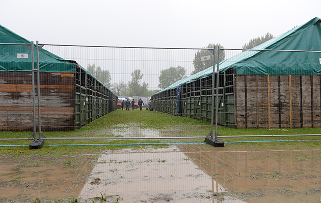 WetWed_RWHS16pn_3873.jpg