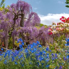 View of full bloom colorful multiple kind of flowers in springtime sunny day
