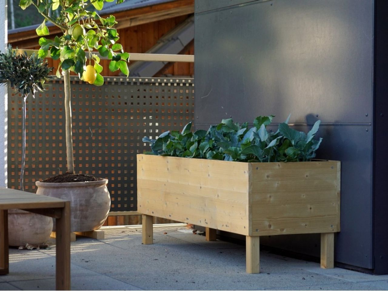 A Table Garden Box Full Of Green Plants