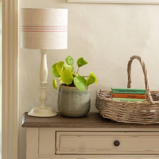Table lamp on top of console table next to house plant basket filled with books