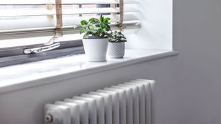 picture of radiator with windowsill and plants above it