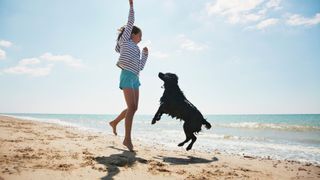 Child and dog jumping up in the air on a sandy beach