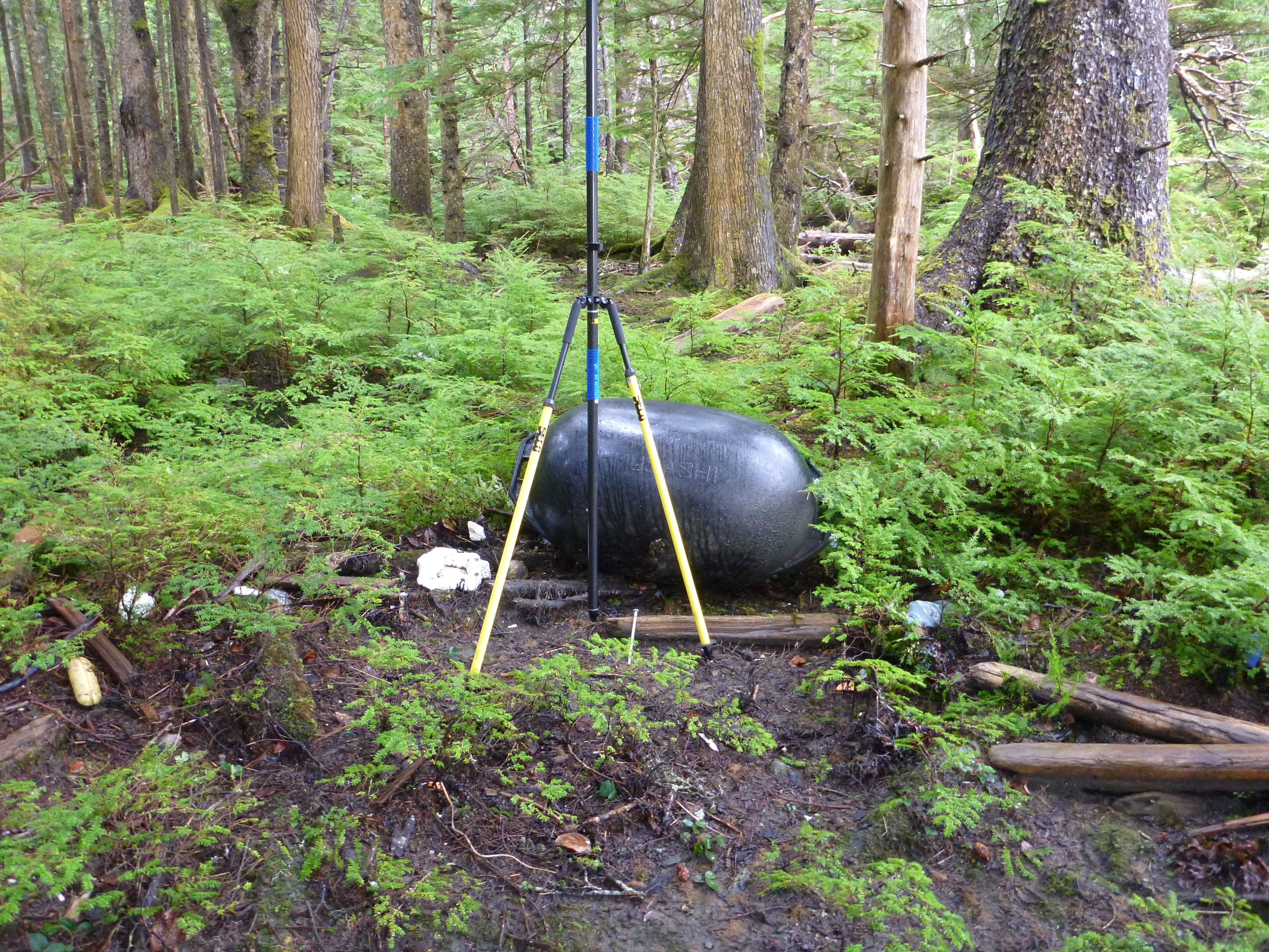 haida gwaii tsunami debris