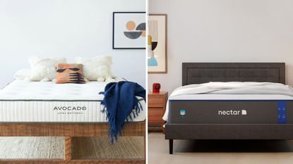 An Avocado Organic Latex Mattress beside a Nectar Memory Foam Mattress.