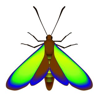 A reconstruction of a 47-million-year-old moth.