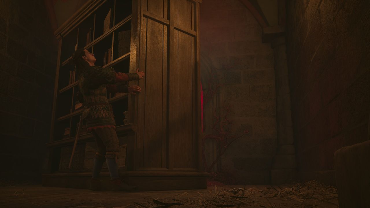 Blood of Dawnwalker Xanthe's trap - Bookcase