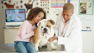 is my dog sick