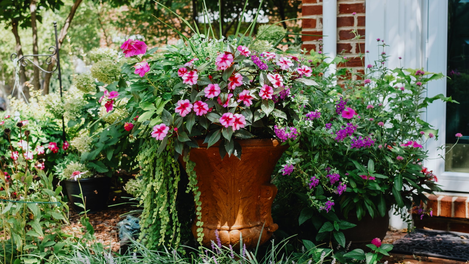 A large terracotta planter outside a home filled with pink blooming plants