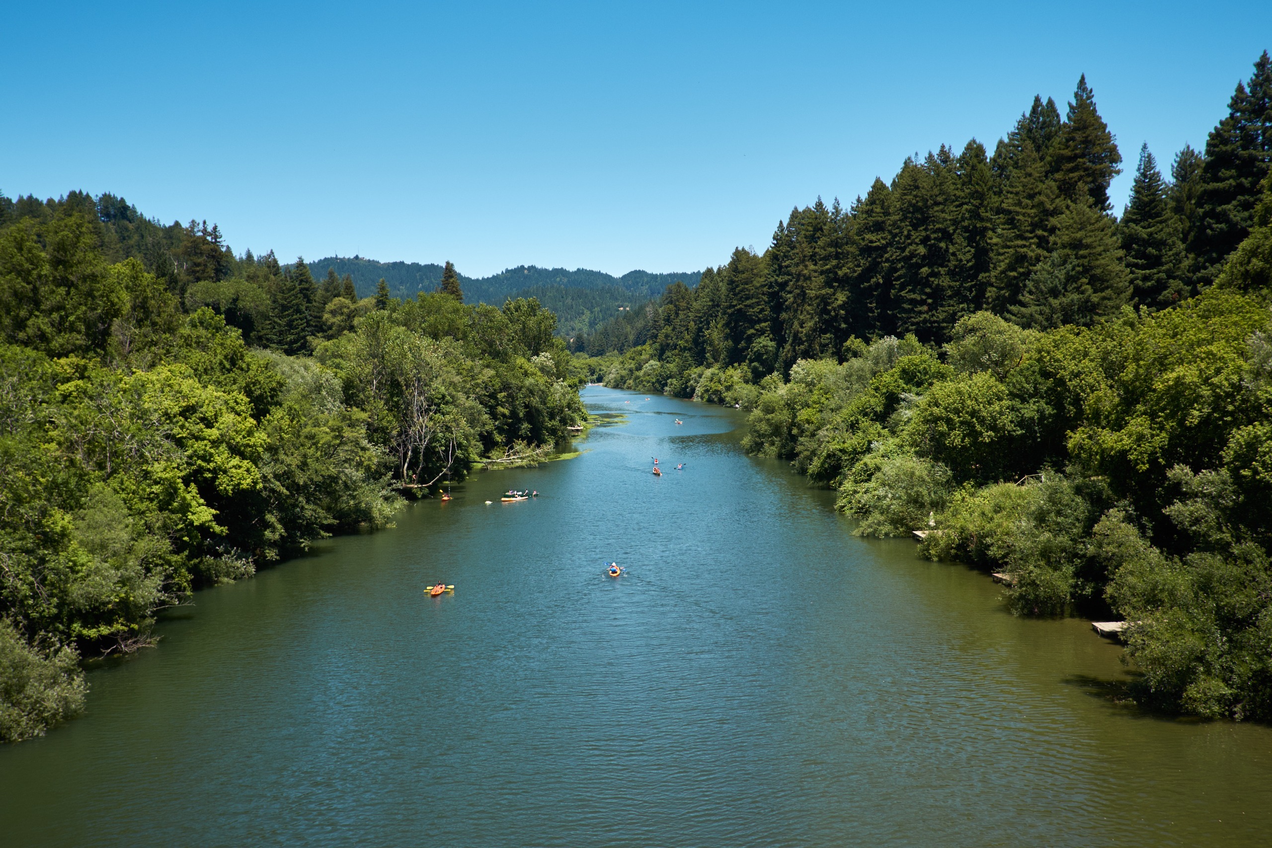 Kayakers on the Russian River