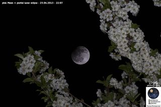 Partial Lunar Eclipse and Flowering Trees Over Macedonia