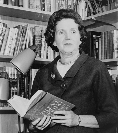 Rachel Carson: Life, Discoveries and Legacy | Live Science