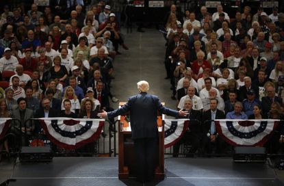 Donald Trump addresses his supporters during the 2016 campaign.