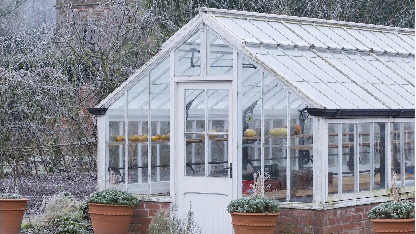 Glasshouse on a frosty day
