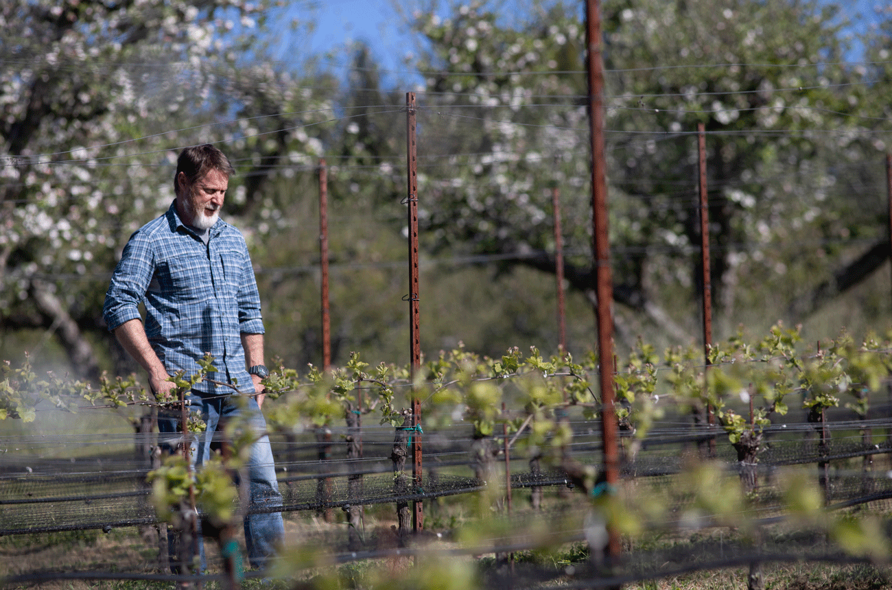 Jason Drew, Drew Winery