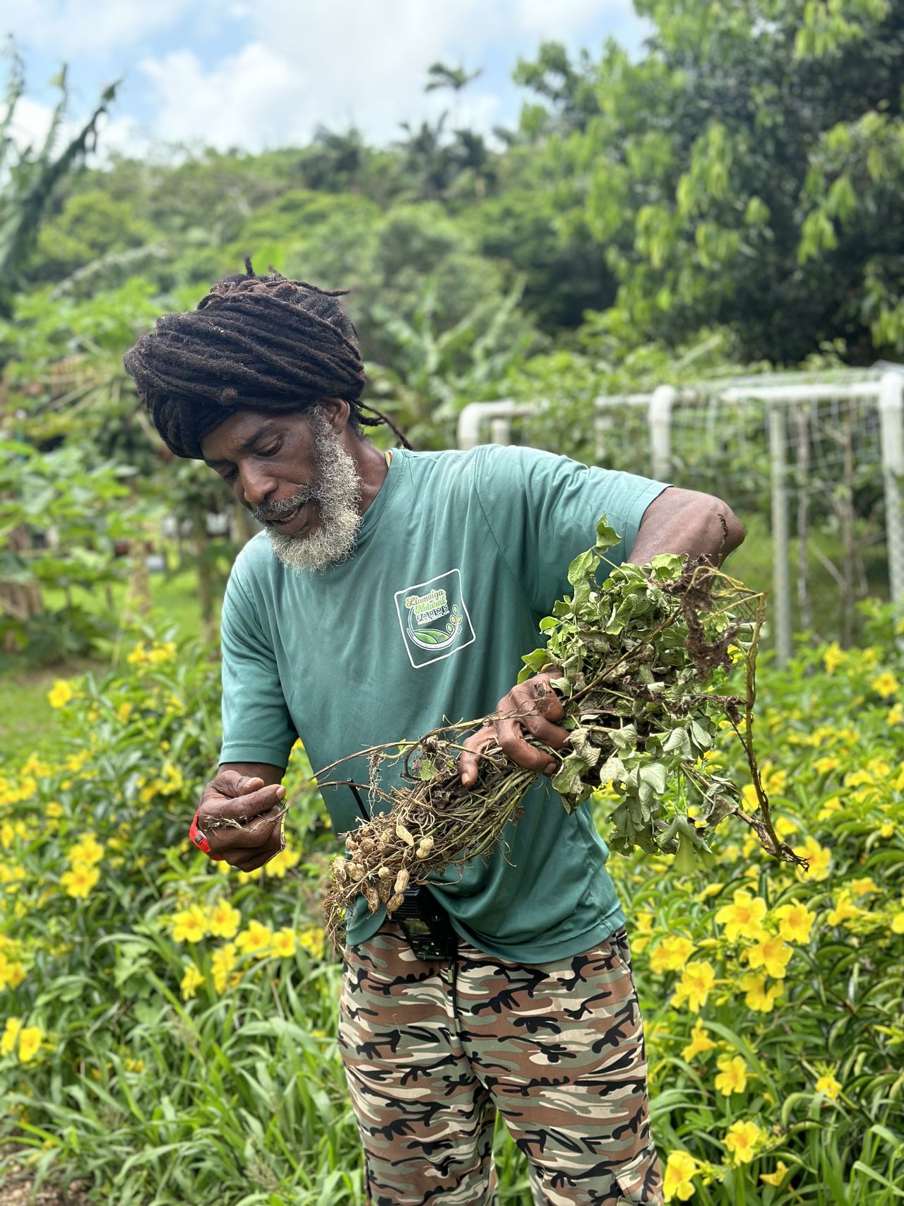 Our guide, Kerryn &ldquo;Tiem&rdquo; Williams, at Liamuiga Natural Farms