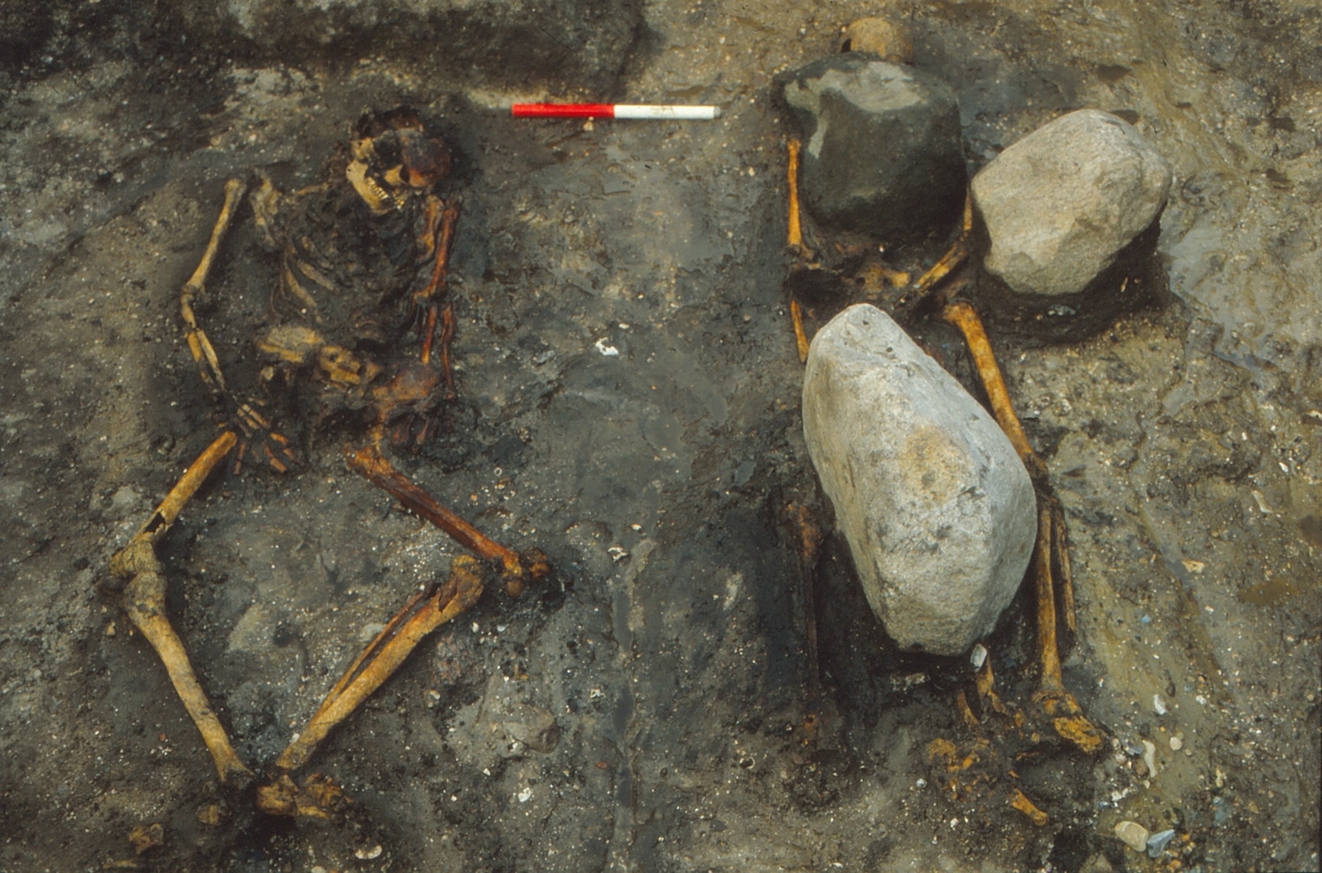 A photo of a grave with two skeletons. One has large stones on top of it.