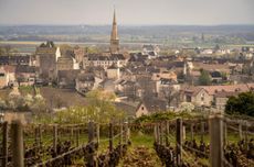 Meursault 2022 wines
