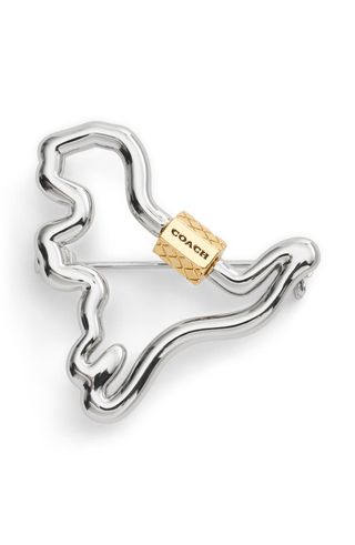 Carabiner Rexy Brooch