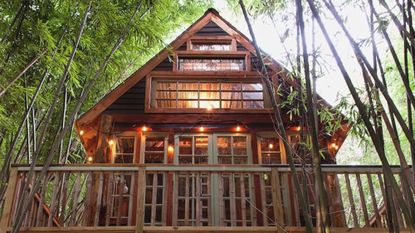 treehouse airbnb