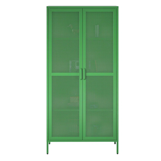 green cabinet book cabinet