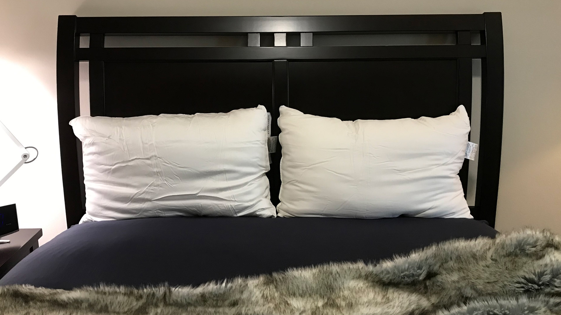 Cozy Earth Silk Pillow review