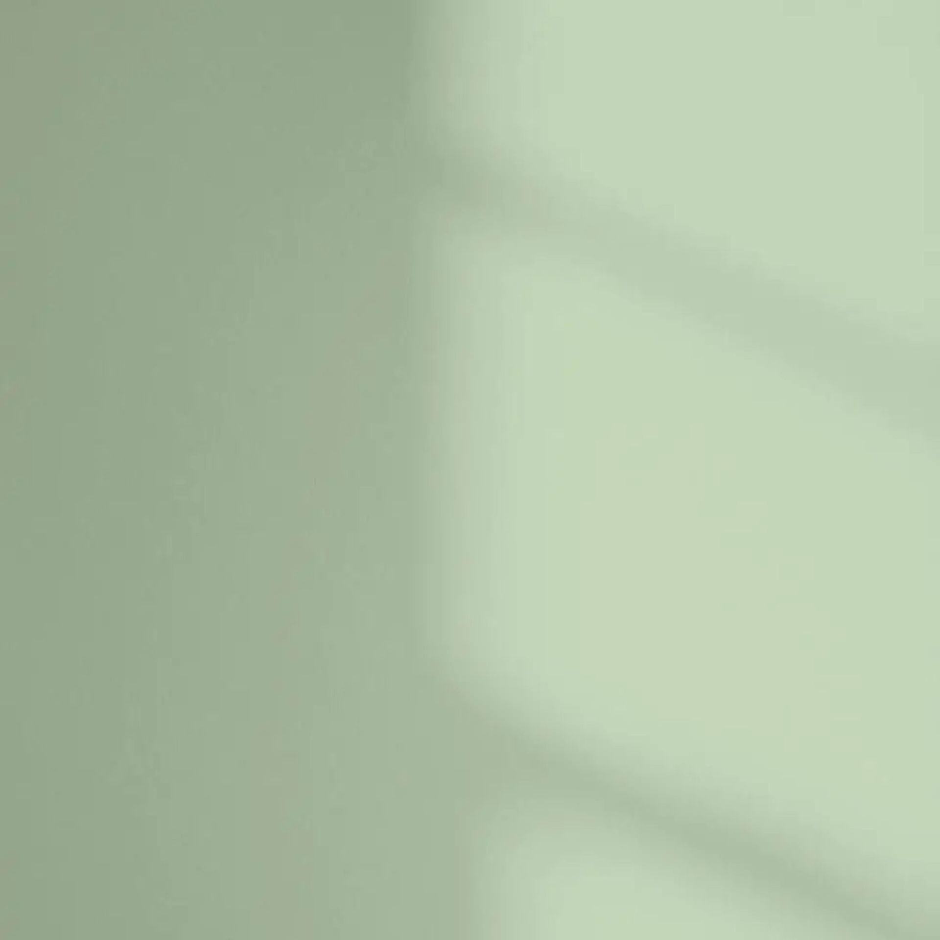 pistachio green paint swatch