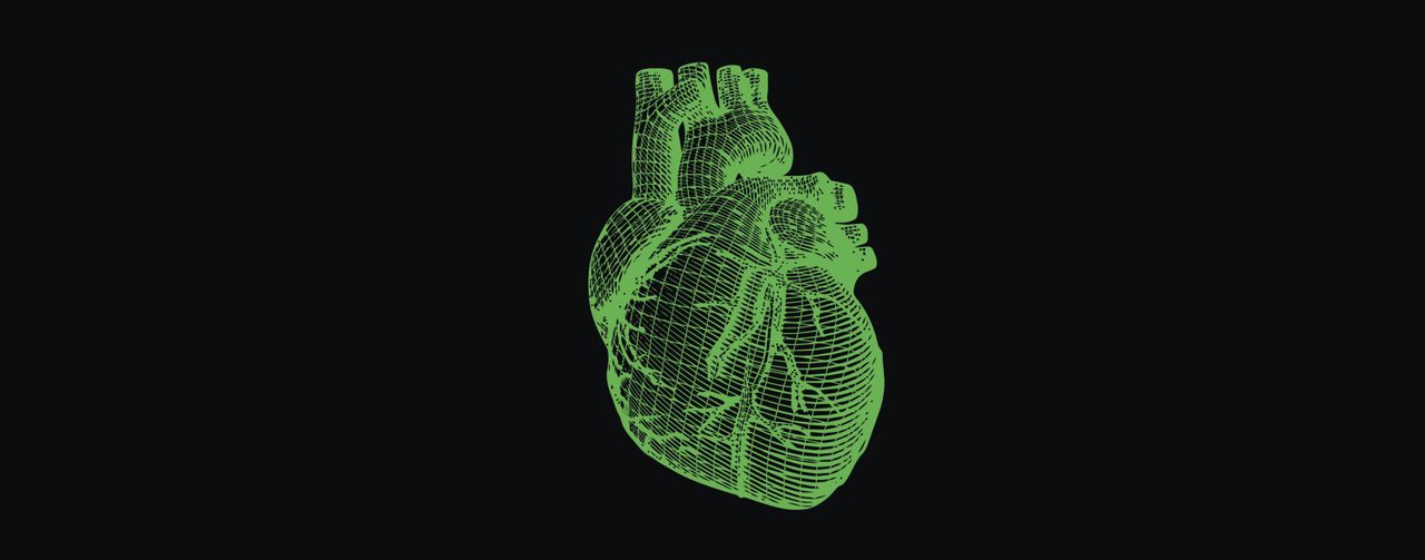 Human heart. 