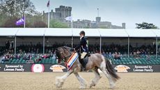 2024 Royal Windsor ridden coloured championship