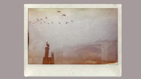 Images AI edited with VSCO AI Labs