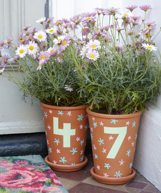 a pair of painted terracotta pots planted with daisies with door numbers on