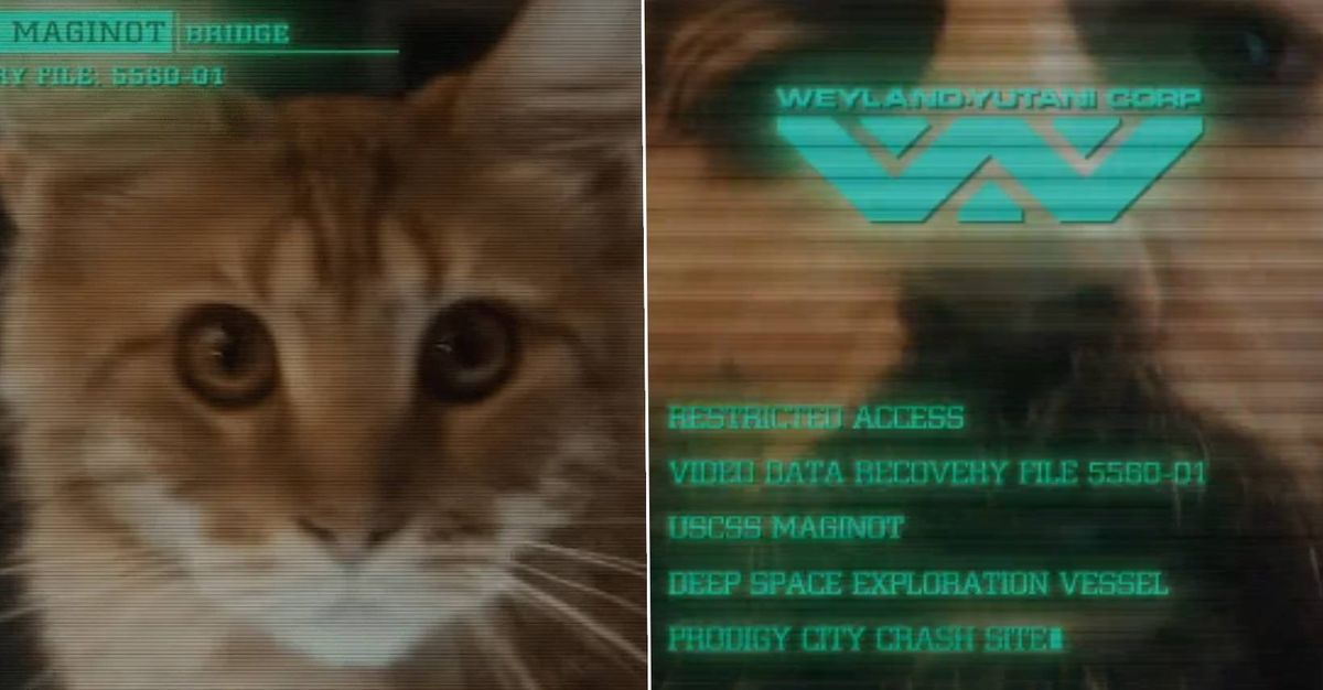 New Alien: Earth teaser introduces us to new cast members and the cutest little cat – and if a Xenomorph eats it, I will be furious