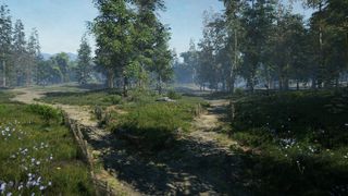 Unity; a scene of a forest rendered in Unity