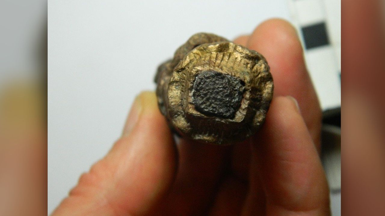 The iron key "appears to have been deliberately cut off, and the handle placed into the ground," study co-author Gavin Speed, a project manager at University of Leicester Archaeological Services who led the excavation, told Live Science.