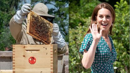 Kate Middleton and beekeeper Alamy 2CW3MT4 and W19HM9