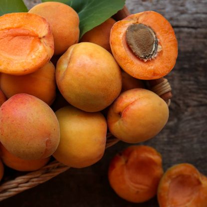 A pile of apricots, one cut in half exposing the pit