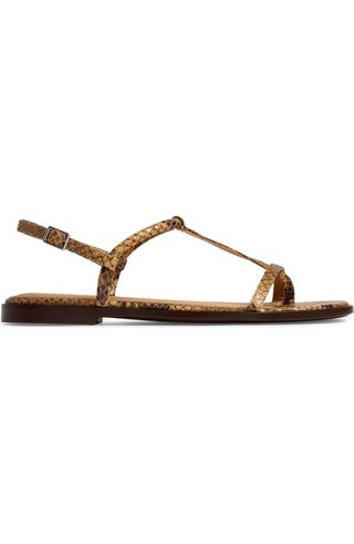 The Bev T-Strap Sandal