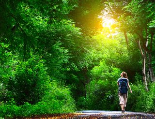 A woman walks down a road surrounded by tall green trees.