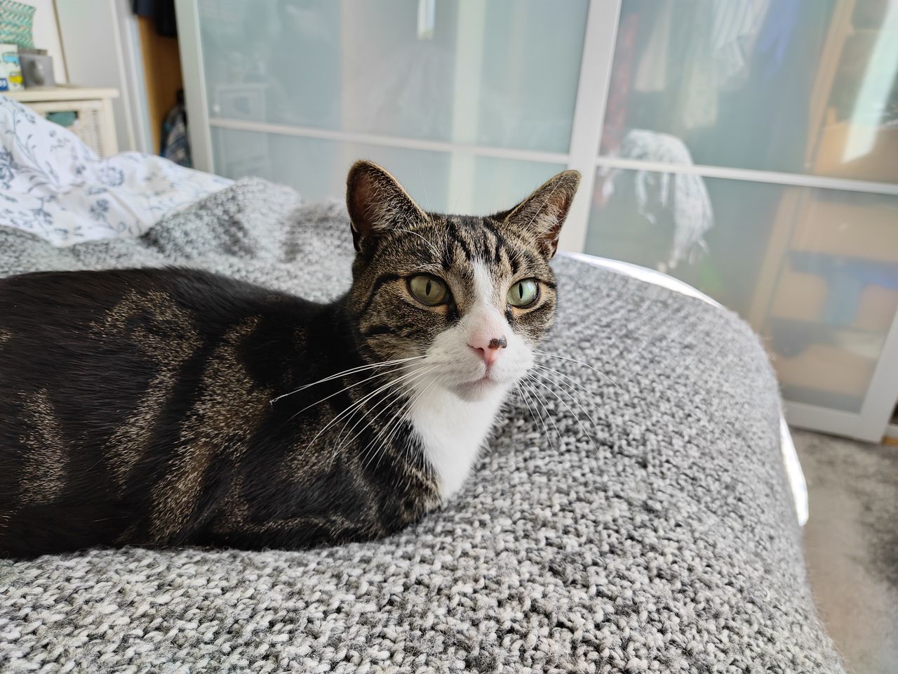 Nubia Red Magic 9S Pro camera samples