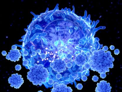 T-cell attacks coronavirus.