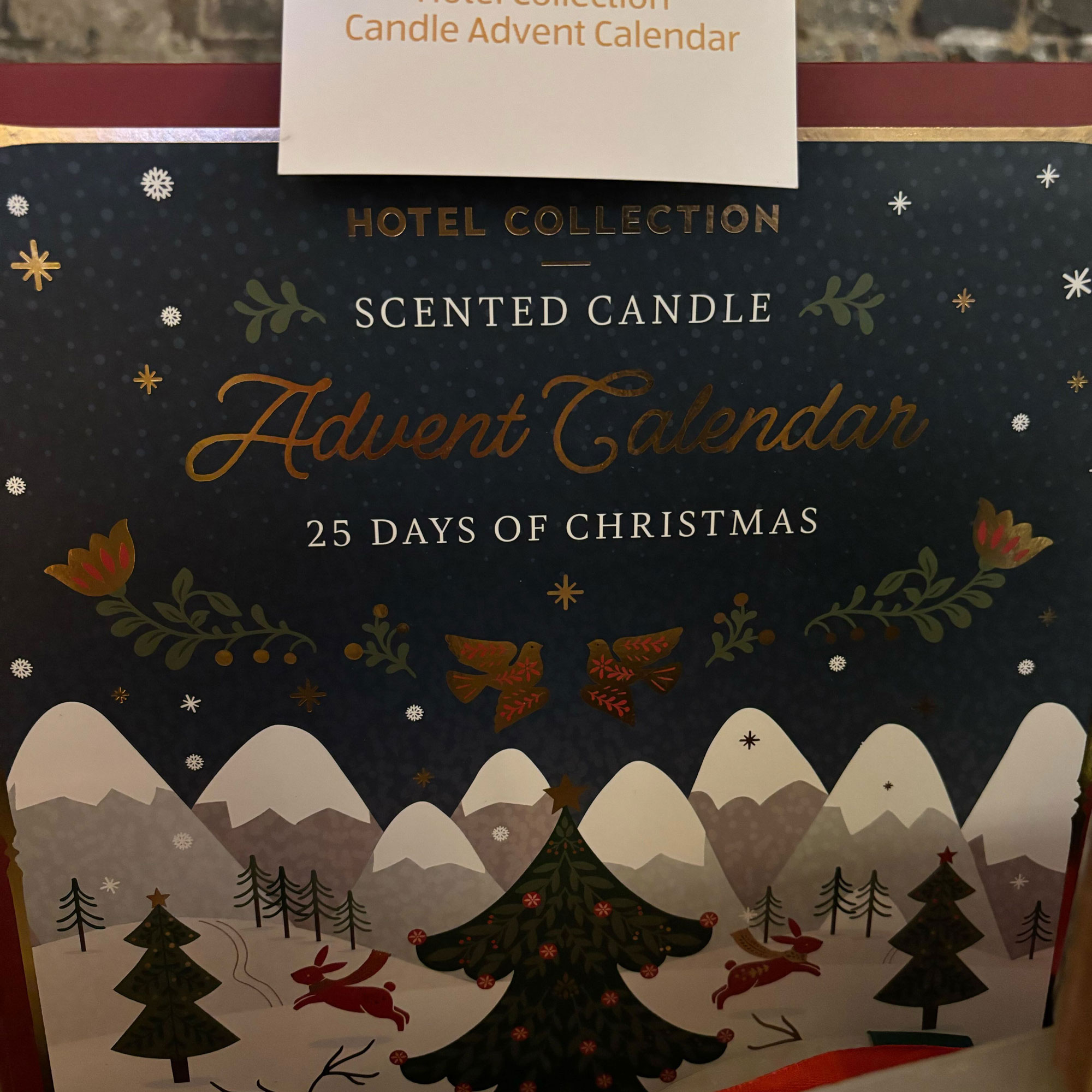 Aldi advent calendar